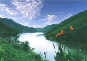 湖山森林公園 湖山森林公園