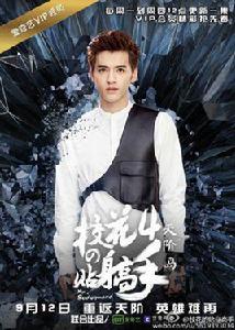 校花的貼身高手4[2016年由愛奇藝出品的電視劇]