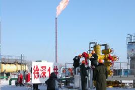 徐深1井 徐深1井