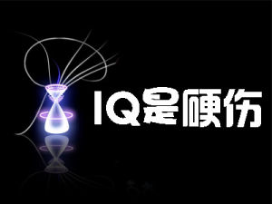 智商是硬傷