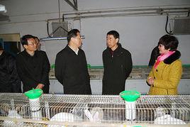 南陽高莊核電站 南陽高莊核電站