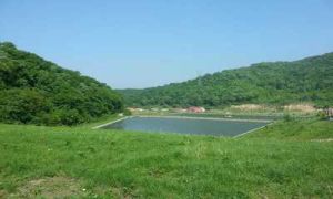 五家山森林公園 五家山森林公園