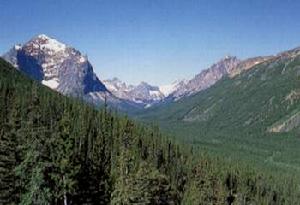 副極地大陸性氣候