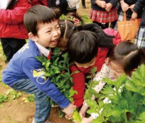 阿卡農莊 阿卡農莊
