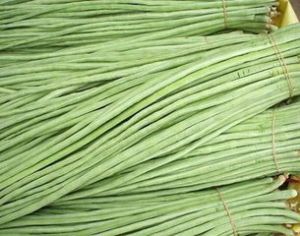 泰豐三號 泰豐三號