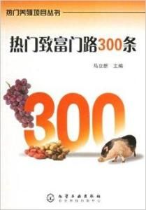 熱門致富門路300條 熱門致富門路300條