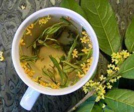 桂花生薑 桂花生薑