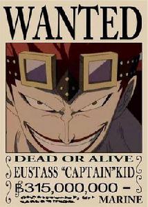 懸賞令[官方海捕公文]