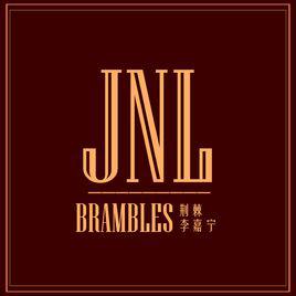 荊棘[李嘉寧演唱歌曲]