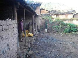 水口村[雲南省楚雄武定縣東坡傣族鄉水口村]