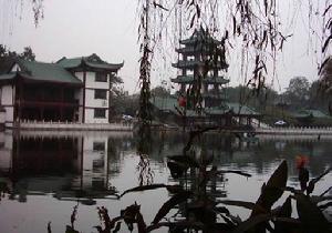 升庵桂湖