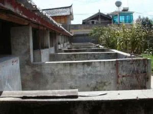 東河九東村 東河九東村