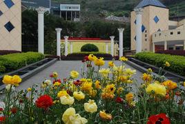 賽德國際學校 賽德國際學校