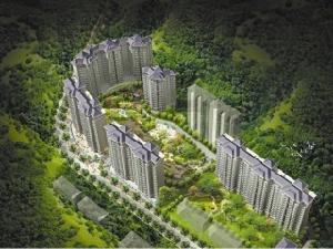 東麗上島 東麗上島