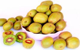 樂業獼猴桃 樂業獼猴桃