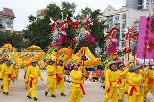 廣西賓陽炮龍節 廣西賓陽炮龍節