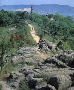 三教珠英 三教珠英