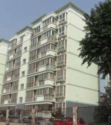 路路通萬喜名家 路路通萬喜名家