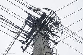 配電電纜 配電電纜