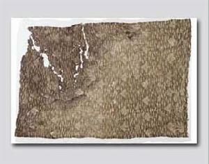 緙絲紫湯鵝戲蓮片