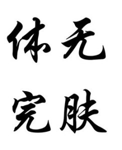 體無完膚 體無完膚