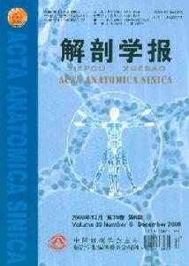 解剖學報 解剖學報