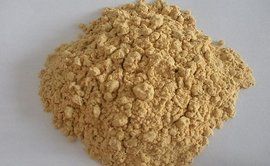 大豆異黃酮 大豆異黃酮