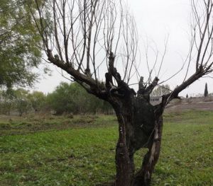 京峴山村 京峴山村