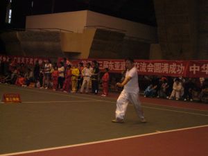 丁華文[中國武術名家]