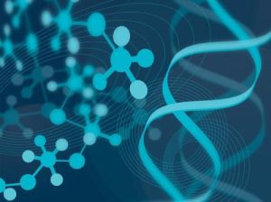 PGS/PGD技術的區別