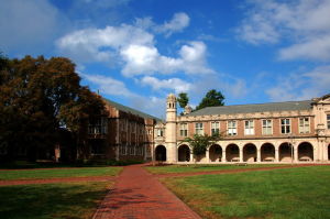 聖路易斯華盛頓大學