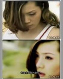 迷情之戀 迷情之戀