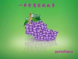 一串紫葡萄 一串紫葡萄