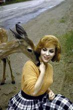 吉娜&middot;勞洛勃麗吉達