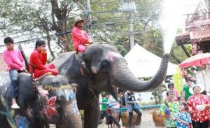 歡度節日的馴象師驅使大象潑水向市民祝福。