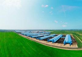 澳亞國際牧場 澳亞國際牧場