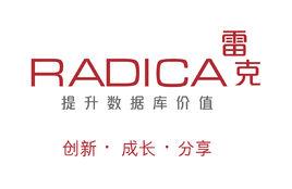 雷克系統有限公司