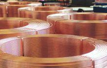 大冶有色金屬集團控股有限公司