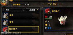 戰鬥寵物欄里的暗月兔子