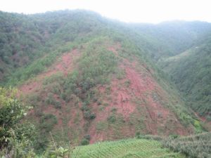 上長坡村 上長坡村