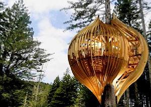 紐西蘭樹屋餐廳