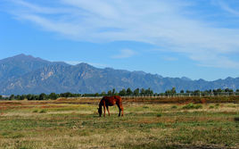 康西草原 康西草原