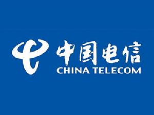 中國電信集團公司