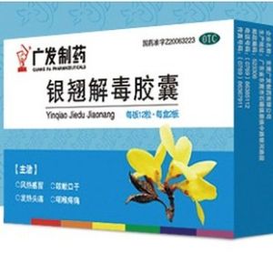 銀翹解毒膠囊 銀翹解毒膠囊