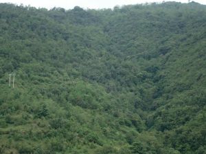 蘆車壩自然村 蘆車壩自然村