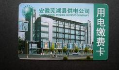 蕪湖縣供電公司 蕪湖縣供電公司
