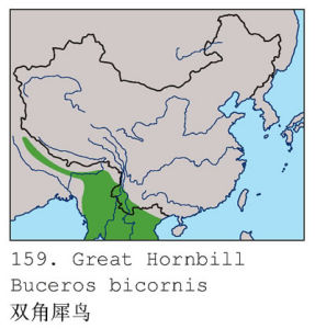 雙角犀鳥全球主要分布圖