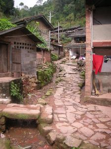 景星街自然村 景星街自然村