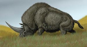 獨角獸[冰河時期形似犀牛的西伯利亞獨角獸]