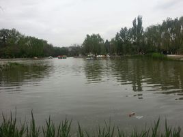 蘭州綠色長廊 蘭州綠色長廊